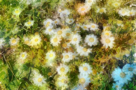 Flowers Plaintings for Christmas: Seasonal Illustrations for Editorial Design